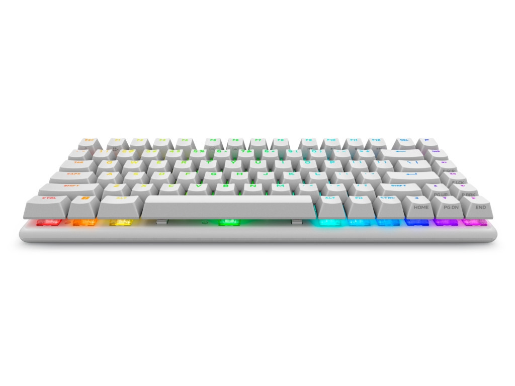 Клавиатура Dell Alienware Pro Wireless Gaming Keyboard - US (QWERTY) (Lunar Light) 26077_3.jpg