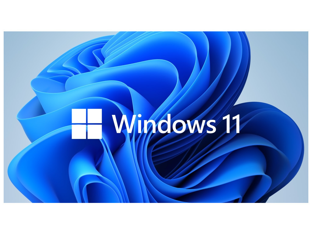 Програмен продукт с лицензен стикер Microsoft Windows 11 Pro for Wrkstns 64Bit English 1pk DSP OEI DVD 19694.jpg