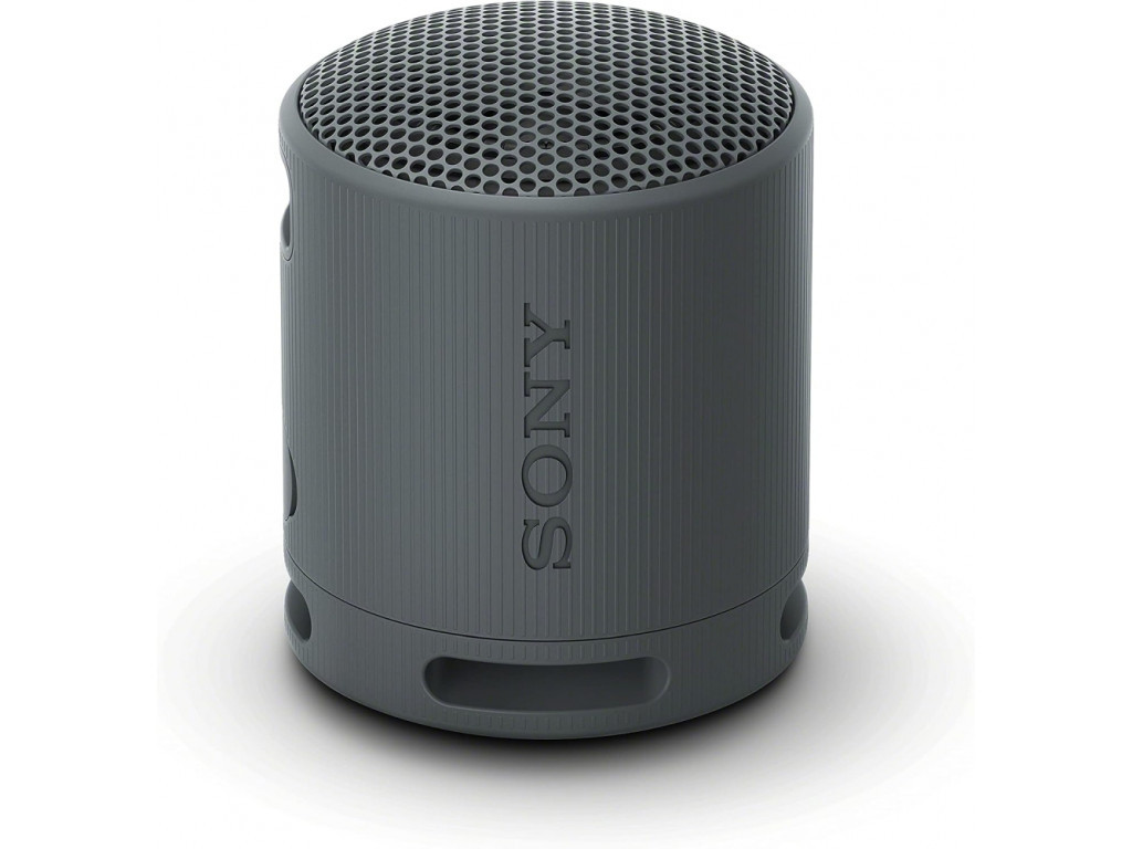 Тонколони Sony SRS-XB100 Portable Bluetooth Speaker 25307.jpg