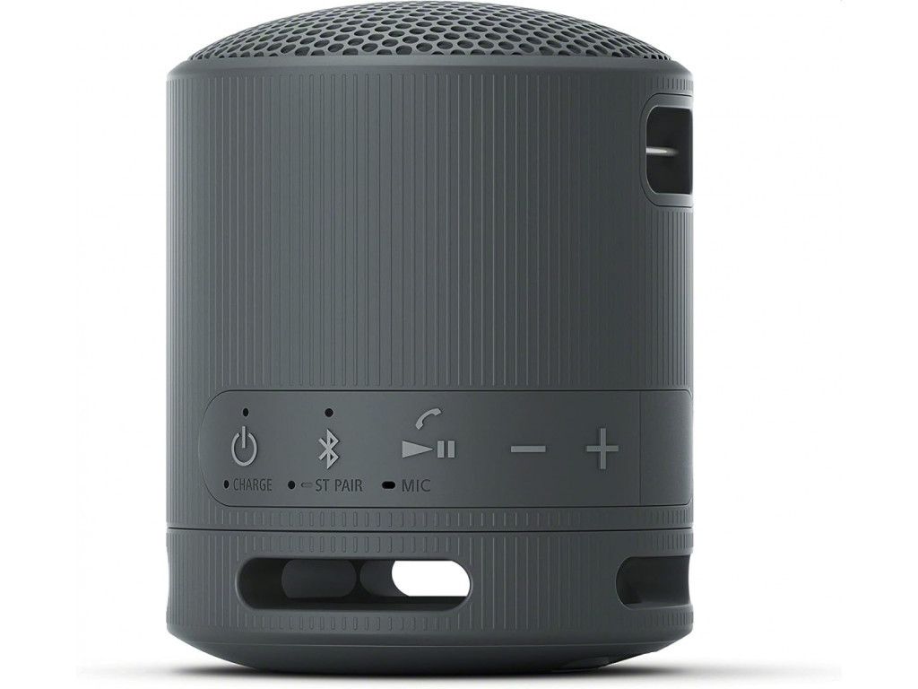 Тонколони Sony SRS-XB100 Portable Bluetooth Speaker 25307_2.jpg